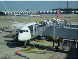FlyingHome7